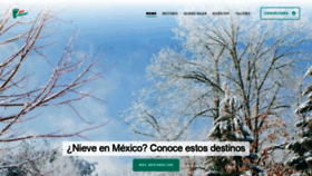 What Piesviajeros.mx website looked like in 2018 (5 years ago)