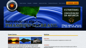 What Pmambientalbrasil.org.br website looked like in 2019 (5 years ago)