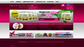 What Pueraria.fr website looked like in 2019 (5 years ago)