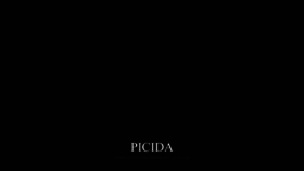 What Picida.com website looked like in 2019 (5 years ago)