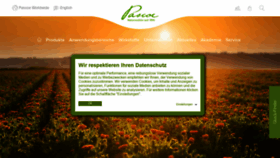 What Pascoe.de website looked like in 2019 (5 years ago)
