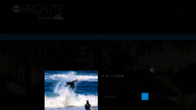 What Prolite.com website looked like in 2019 (5 years ago)
