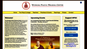 What Palyulnyc.org website looked like in 2019 (6 years ago)
