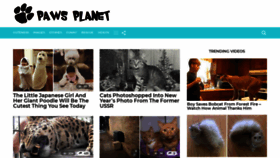 What Pawsplanet.me website looked like in 2019 (5 years ago)