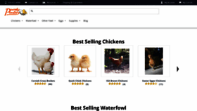 What Purelypoultry.com website looked like in 2019 (5 years ago)