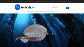 What Plongee-sous-marine.tv website looked like in 2019 (5 years ago)