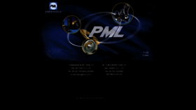 What Pml.com.cn website looked like in 2019 (5 years ago)