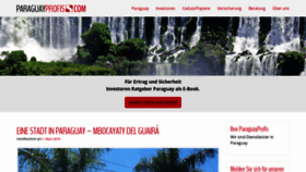 What Paraguayprofis.com website looked like in 2019 (5 years ago)