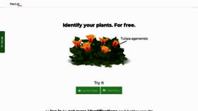 What Plant.id website looked like in 2019 (5 years ago)