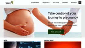 What Pregnant-naturally.com website looked like in 2019 (5 years ago)