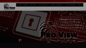 What Proviewgds.com website looked like in 2019 (4 years ago)