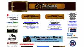 What Professionalauction.com website looked like in 2019 (4 years ago)