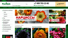 What Procvetok.ru website looked like in 2019 (4 years ago)