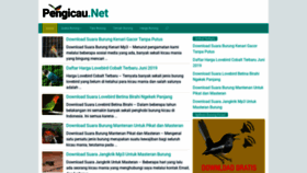 What Pengicau.net website looked like in 2019 (4 years ago)