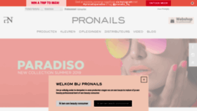 What Pronails.nl website looked like in 2019 (4 years ago)