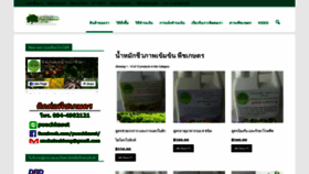 What Puechkaset.com website looked like in 2019 (4 years ago)