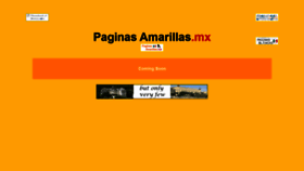 What Paginasamarillas.mx website looked like in 2019 (4 years ago)