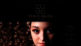 What Panycsalon.com website looked like in 2019 (4 years ago)