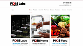 What Pixislabs.com website looked like in 2019 (4 years ago)