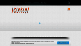 What Piskinkartus.com website looked like in 2019 (4 years ago)