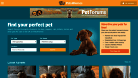 What Pets4homes.co.uk website looked like in 2019 (4 years ago)