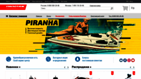 What Pilotage-rc.ru website looked like in 2019 (4 years ago)