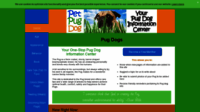 What Petpugdog.com website looked like in 2019 (4 years ago)