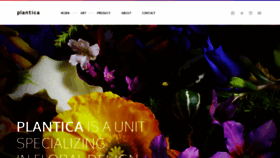 What Plantica.net website looked like in 2019 (4 years ago)