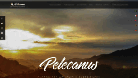 What Pelecanus.com.co website looked like in 2019 (4 years ago)