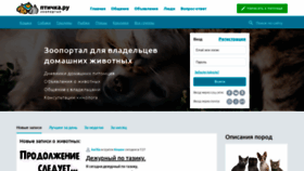 What Ptichka.ru website looked like in 2019 (4 years ago)