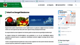 What Pinarucanargun.com website looked like in 2019 (4 years ago)