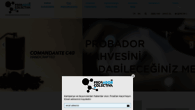 What Probadorcolectiva.com website looked like in 2019 (4 years ago)