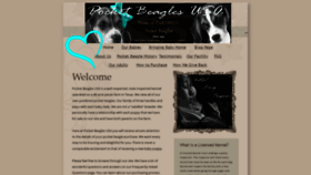 What Pocketbeaglesusa.com website looked like in 2019 (4 years ago)