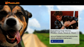 What Puppiesforsale.co.za website looked like in 2019 (4 years ago)