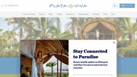 What Playaviva.com website looked like in 2019 (4 years ago)