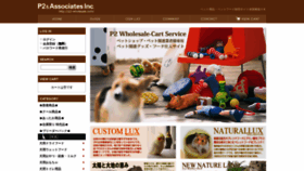 What P2-wholesale.com website looked like in 2019 (4 years ago)