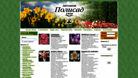 What Polysad.ru website looked like in 2019 (5 years ago)