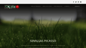 What Picasso.com.ar website looked like in 2019 (4 years ago)