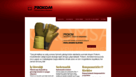What Prokomsan.com website looked like in 2019 (4 years ago)