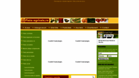 What Piata-agricola.ro website looked like in 2019 (4 years ago)