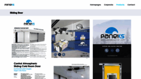 What Panekspanel.com website looked like in 2019 (4 years ago)