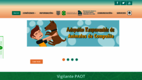 What Paot.mx website looked like in 2019 (4 years ago)