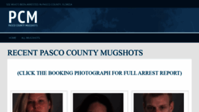 What Pascocountymugshots.com website looked like in 2019 (4 years ago)