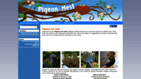 What Pigeons-forsale.com website looked like in 2019 (4 years ago)