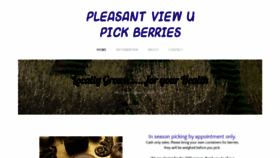 What Pleasantviewupickberries.com website looked like in 2019 (4 years ago)