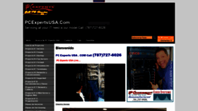 What Pcexpertsusa.com website looked like in 2019 (4 years ago)