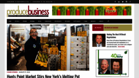 What Producebusiness.com website looked like in 2019 (4 years ago)