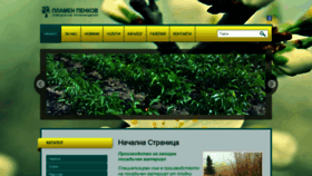 What Plamenpenkov.com website looked like in 2019 (4 years ago)