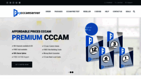 What Paycccamserver.com website looked like in 2019 (4 years ago)