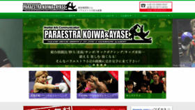 What Paraestrakoiwa.com website looked like in 2019 (4 years ago)